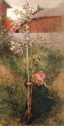 Carl Larsson Apple Blossoms oil painting